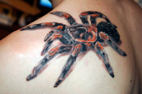 значения татуировки с пауком