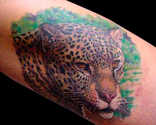 Значение татуировки гепард