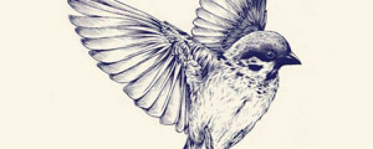 Значения татуировки «Птица»