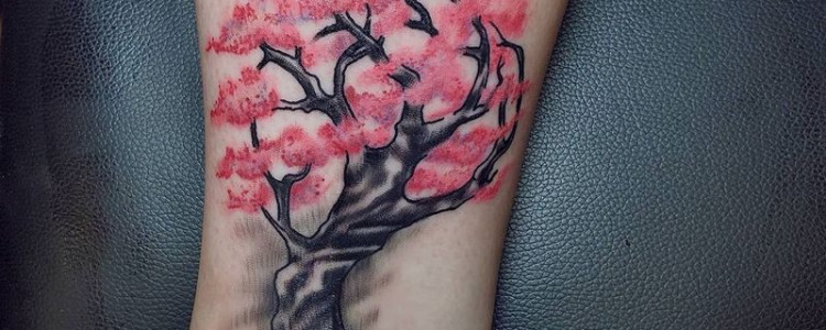 Значение татуировки вишневого дерева