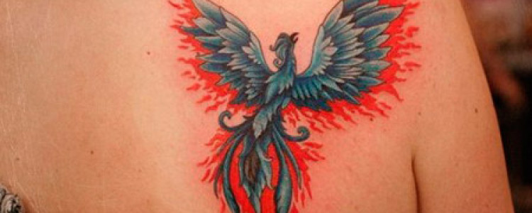 Значение татуировки птица феникс