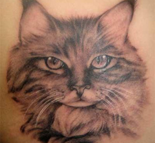 Значение татуировки кот